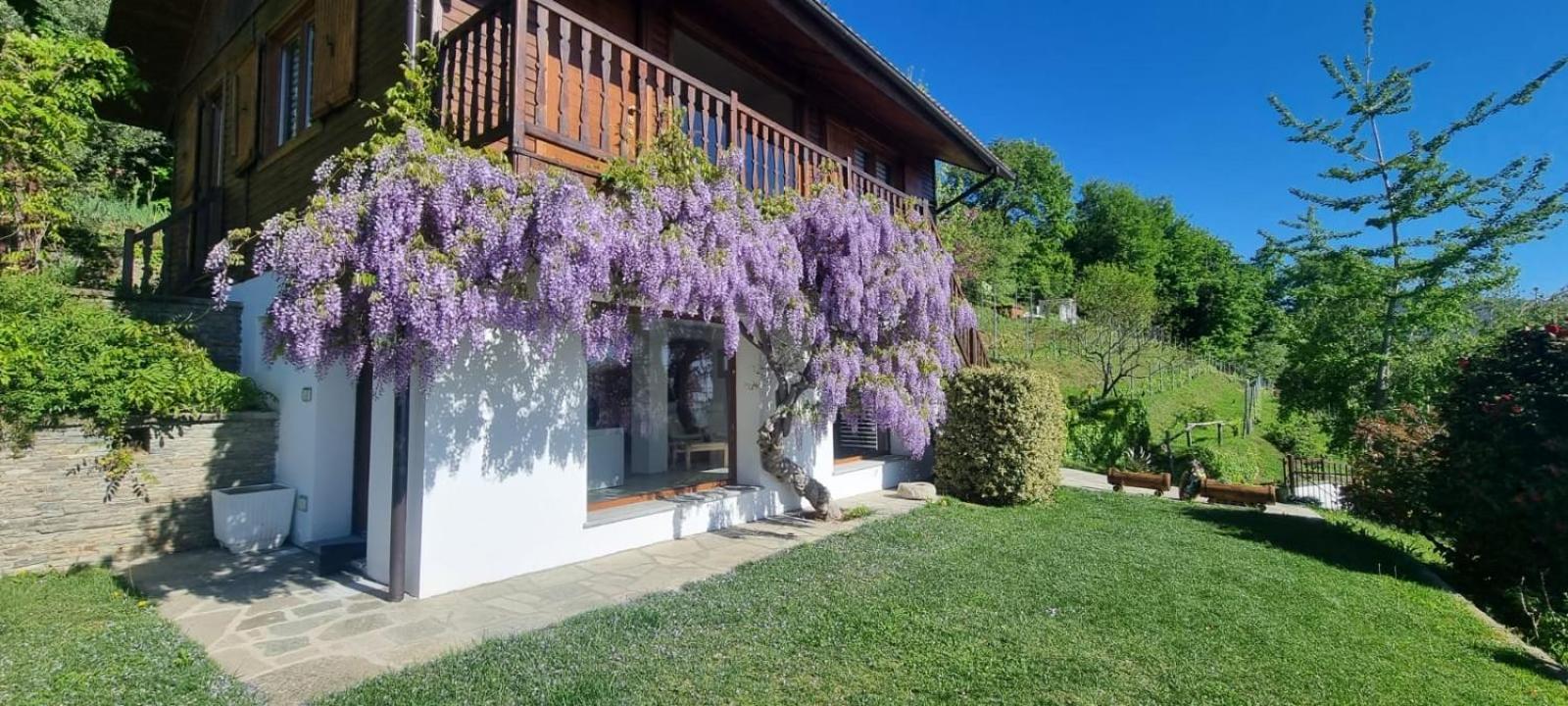Chalet Sophie - Luxury Chalet Roletto Экстерьер фото